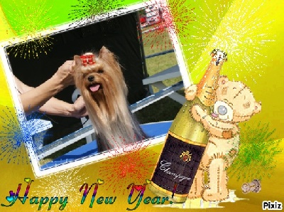 of Monroe For Ever - Bonne et heureuse année 2012