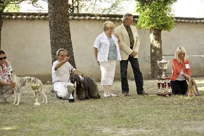 of Monroe For Ever - exposition canine nationale de Pierrelattes 2013